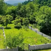 زمین-جنگلی-در-نور-باسند-قیمت-کل600فقط