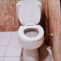 توالت فرنگی