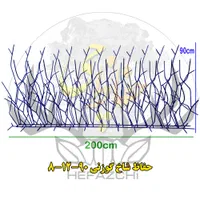 حفاظ دیواری شاخگوزنی