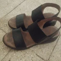 کفش روز مره شماره۳۷