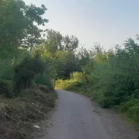 500-متر-زمین-باغی-داخل-طرح