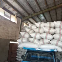 پخش انواع چای