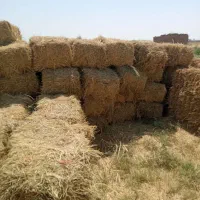 یونجه کیلویی37000