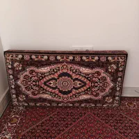 پشتی نونونو