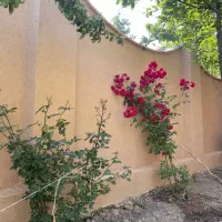 کاهگل ضدآب (مجری کاهگل نانو)
