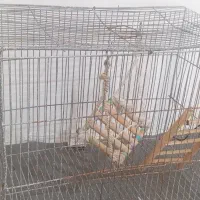 قفس پرنده