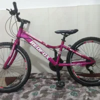 دوچره سایز24  نو