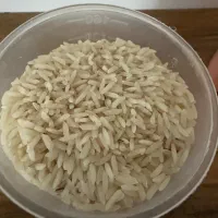 برنج هاشمی مستقیم از کشاورز