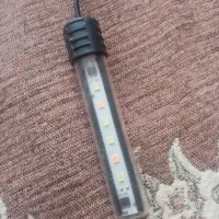 لامپ|لامپ و چراغ|نیشابور, خط کاشمر|دیوار