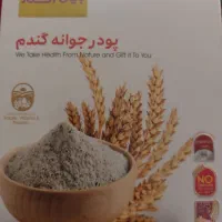 پودرجوانه گندم مکمل غذایی