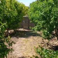 باغچه-200متر-ب-بالا-سند-تک-برگ-انشعابات-اب-برق-گاز