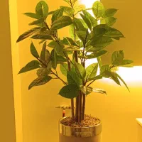 گل مصنوعی وارداتی