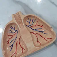 سنگ مصنوعی و محصولات دکوراتیو