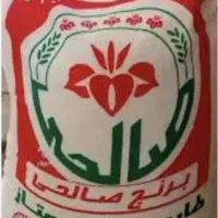 برنج صالحی