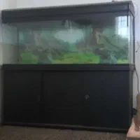 آکواریوم شرکتی بزرگ با کلیه متعلقات میبد و اردکان