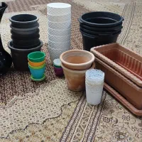 گلدان|گل و گیاه طبیعی|تبریز, |دیوار