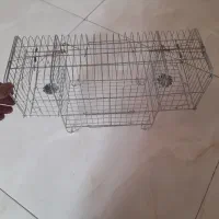 تله و قفس