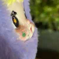 نومی بلوبری