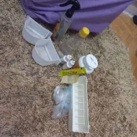عروس هلندی