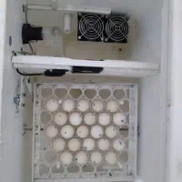 دستگاه جوجه کشی