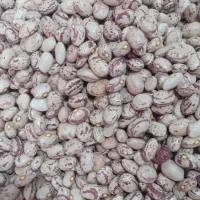 فروش انواع حبوبات و برنج هندی ایرانی و پاکستانی