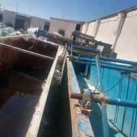 ماردون