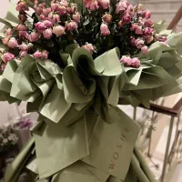 گل ووشه رز