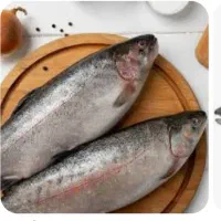 ماهی زنده 100تا 200گرمی30هزارتا دارم