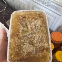 عسل طبیعی با ارسال رایگان