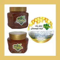 عسل چند گیاه کوهستان(۵۰۰ گرمی) تست و ارسال رایگان