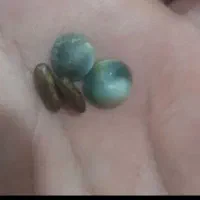 سرکتاب رایگان