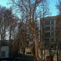 65-متری-یک-خواب-بازسازی-کامل