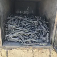 زغال کبابی چنار وجنگلی
