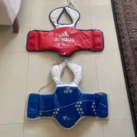 هوگو تکواندو