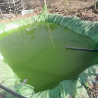 باغ-سند-دار