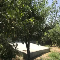 470متر-زمین-شهرکی-اقدسیه-همنوش-دهکده-ورزشی