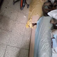 رول کارتن