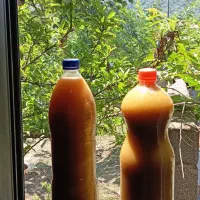 آبغوره تازه طبیعی