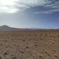 راننده بیل مکانیکی