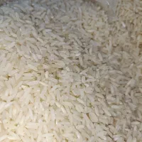 برنج شمال کیلو ۲۴۹۰۰۰ تومن