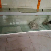 آکواریوم