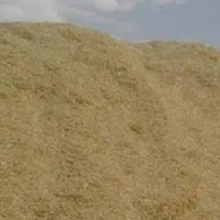 فروش کاه دیم