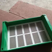 الک میلورم سایز بندی و شفیره