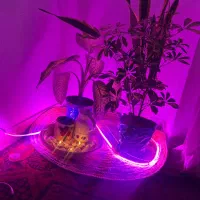 ااجاره واحد یکخوابه روزانه