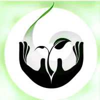 سبزی مارکت دستچین