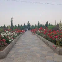استخدام کارمند منابع انسانی خانم