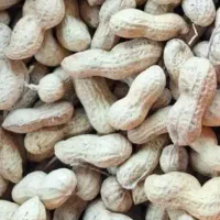 بادام زمینی اطلس و گلی مخصوص بذر برشته و غلاف شور