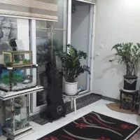 رهن-و-اجاره-واحد-48-متری-فول-امکانات-فوری-تخلیه