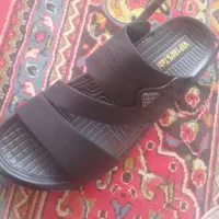 کفش آگهی را بخون