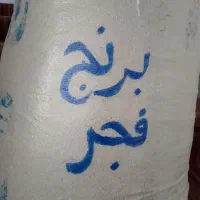 برنج محلی قیمت عمده